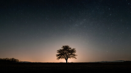 A lone tree silhouetted against a starry night sky with a beautiful gradient