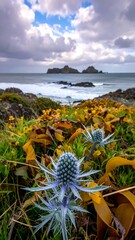 Coastal vista with blue thistle, rocks, sea, and cloudy sky