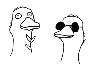 Two quirky cartoon ducks with different expressions, showcasing a playful vibe, perfect for children's art or humorous content in a lighthearted setting. Coloring page