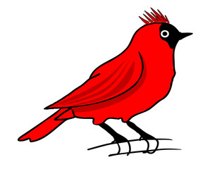 Bright red cardinal bird perched on a branch with distinct features in a simple design, showcasing its beauty and charm in a clean, playful illustration