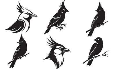 Elegant Bird Silhouette Collection A Variety of Songbirds and Feathered Friends Represented in Striking Black and White Design