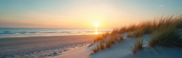 Papier peint photo Herbes des dunes Dune grass sways at ocean sandy beach in sunrise light. Calm sea water waves in horizon, soft sky. Scenic nature at sand coastline perfect for chill  © miss irine