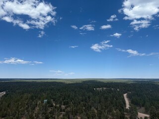 Open Forest Aerial: A breathtaking aerial view from a helicopter, revealing a beautiful and expansive natural forest landscape, with varied tree cover.