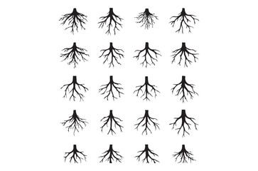 Abstract Root System Art Diverse Root Structures Displayed Root Morphology and Variation in Silhouette Format Root Visualization