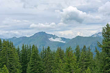 Fototapeta premium Green mountain landscape with pine forest under a cloudy sky in La Vanoise nature reserve, Savoie, France 