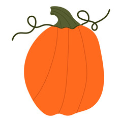 Pumkins Vector Illustration