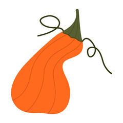Pumkins Vector Illustration