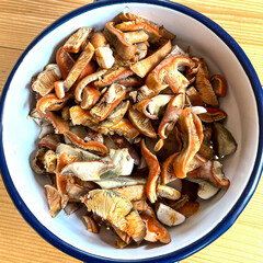 Mischpilze - Gesammelt und geschnetzelt, ein vorbereitetes Pilzgericht