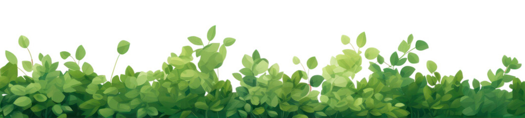 PNG Greenery plant herbs leaf.