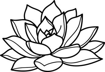 Elegant succulent plant outline art offers serene beauty and natural charm for wellness, spa, and botanical designs