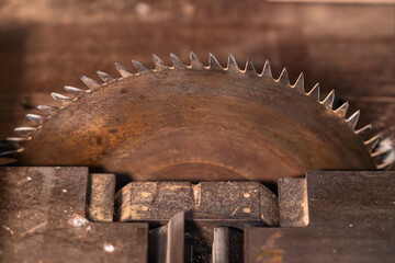 The teeth of a circular saw made of metal.