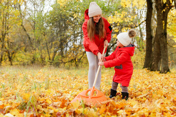 A woman and a young child gather fallen leaves together, enjoying the warm sun and vibrant colors of autumn in a park