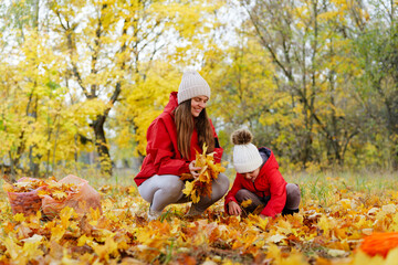 A mother and daughter are happily gathering vibrant yellow and orange leaves in a park during the autumn season
