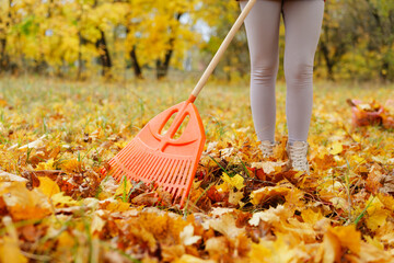 A person stands on a grassy area covered in fallen leaves and uses a rake to gather them under a bright autumn sky