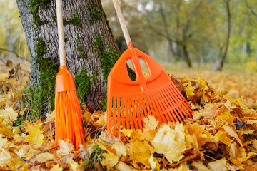 Bright orange rake and broom rest against a tree in a peaceful park filled with fallen autumn leaves, showcasing the beauty of the season