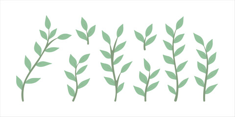 A set of green plants on a white background. Green summer leaves. Design elements.