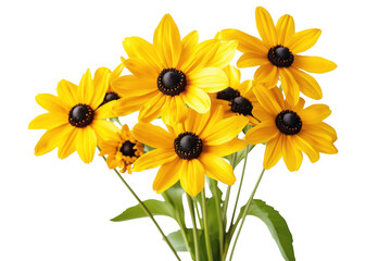 Naklejka premium Yellow daisy bouquet black background isolated on a transparent background