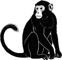 Monkey Silhouette Art