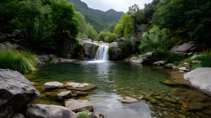 Scenic waterfall cascading into a clear, tranquil pool surrounded by lush greenery