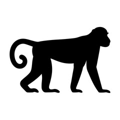 Silhouette of a macaque monkey walking on all fours, its tail curled