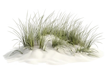 Papier peint photo Herbes des dunes Dune grass on white sand isolated on a transparent background  © dnaim