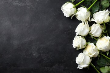 Elegantly Simple Sympathy Background with White Roses on Dark Canvas for Condolence Messages and Inviting Expressions of Emotion