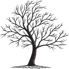 Obraz premium Silhouette of a bare tree