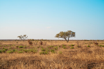 Obraz premium Natural landscapes of the African savannah