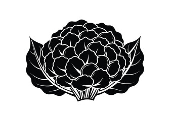 fresh cauliflower with leaves of black silhouette vactor image