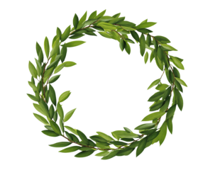 A leafy green wreath forming a circle on a  isolated on transparent background