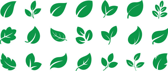 green leaf icon set vector, nature eco design illustration organic symbol