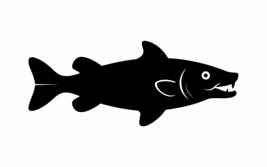 black and white shark