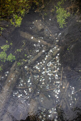Wishing Well with Coins Underwater