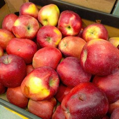 Red apples in fruit crate on textured background