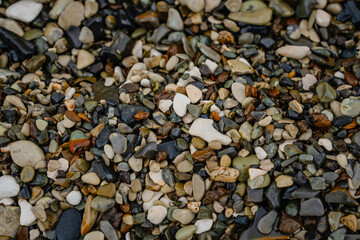 Colorful coastal pebbles on the beach