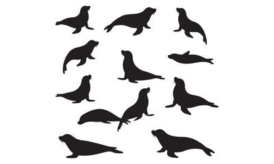 Obraz premium Black Seal Silhouettes Collection