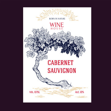 Hand drawn design template label, card, banner or poster for wine product in vintage engraving style. Vector illustration old grape vine tree or bush with text elements.