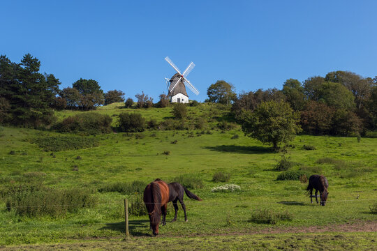  Vester M&uuml;hle, Holl&auml;nder Windm&uuml;hle, &AElig;r&oslash;, D&auml;nemark