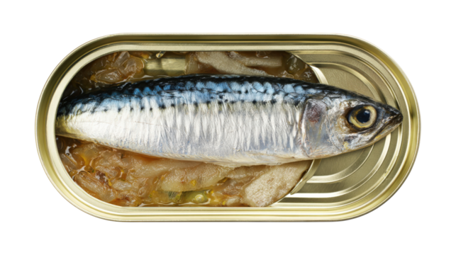 Mackerel in tomaro sauce , Canned Mackerel , canned fish,Tinned fish, top view food table  isolated on a white background