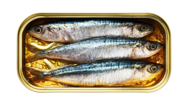 Mackerel in tomaro sauce , Canned Mackerel , canned fish,Tinned fish, top view food table isolated on a white backgroud