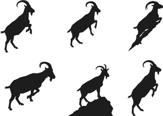 Mountain goat silhouette vector, wild animal poses, rocky terrain agility, black goat illustration, leaping, climbing, rearing, nature wildlife graphic, stock art