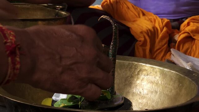 Close-up of Shivling pooja with milk, flowers, and bael leaves being offered. Indian people performing sacred havan on the occasion of Mahashivratri, offering ghee to the holy fire during  Vedic puja.