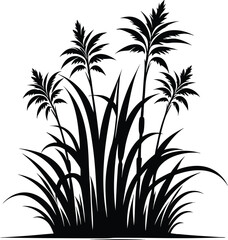 Tall kans grass silhouette vector illustration isolated on a white background