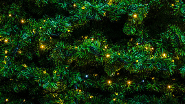 christmas tree background - Powered by Adobe