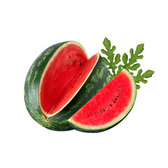A whole watermelon with a slice cut out and a wedge next to green leaves on black on transparent background