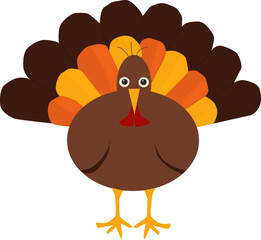 Turkey, large bird. Thanksgiving day. Isolated object