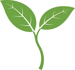 Fresh green plant sprout growing seedling nature organic growth vector