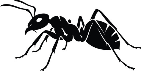 Silhouette of a black ant isolated on vector