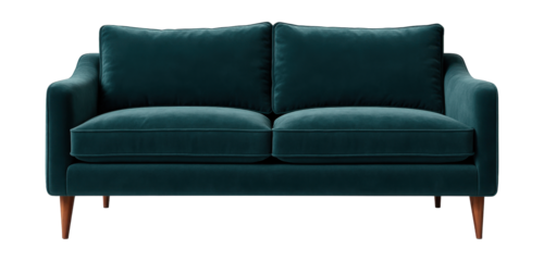 Cozy low sofa with soft velvet upholstery, perfect for a home library reading nook.