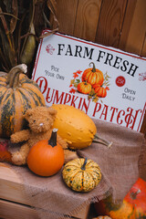 Cozy Farm Harvest Setting with Pumpkins and Hay